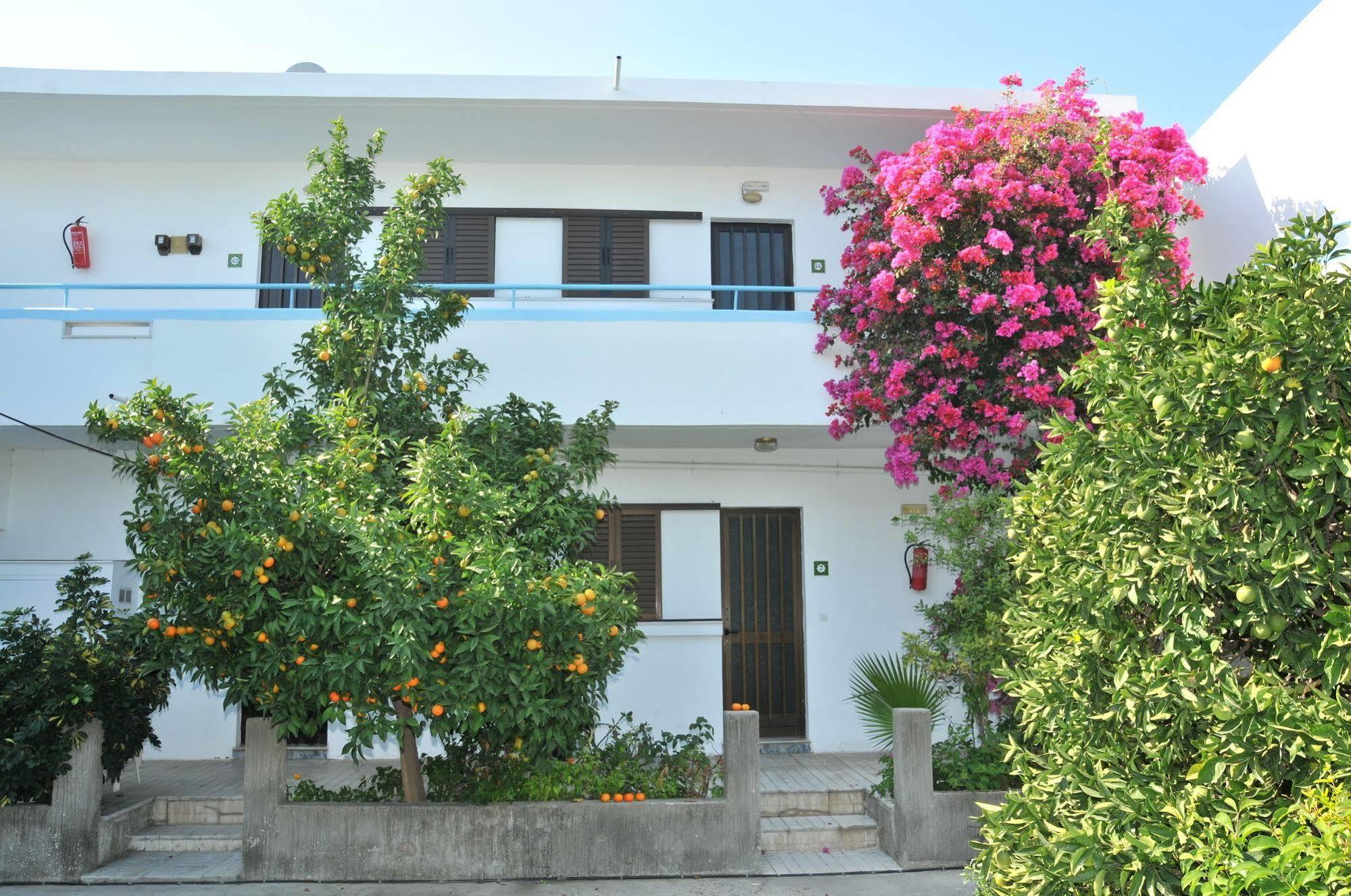 Yiannis Yard Studios & Apartments Κως Πόλη Εξωτερικό φωτογραφία
